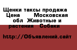 Щенки таксы продажа › Цена ­ 1 - Московская обл. Животные и растения » Собаки   
